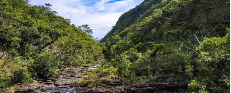 Natureza no Cerrado de Goiás